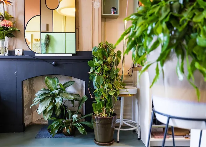 Отель Stadshotel Steegoversloot Дордрехт