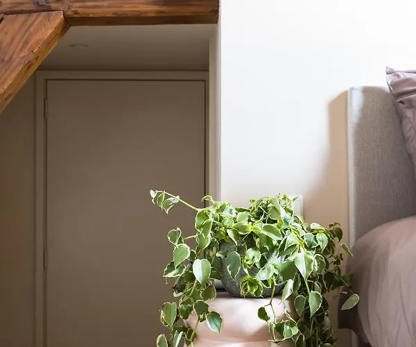 Отель Stadshotel Steegoversloot Дордрехт